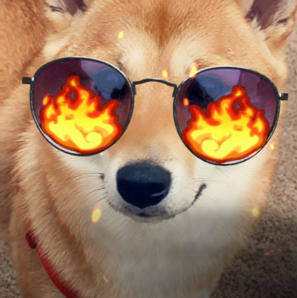 Meet your Posher, Yupa